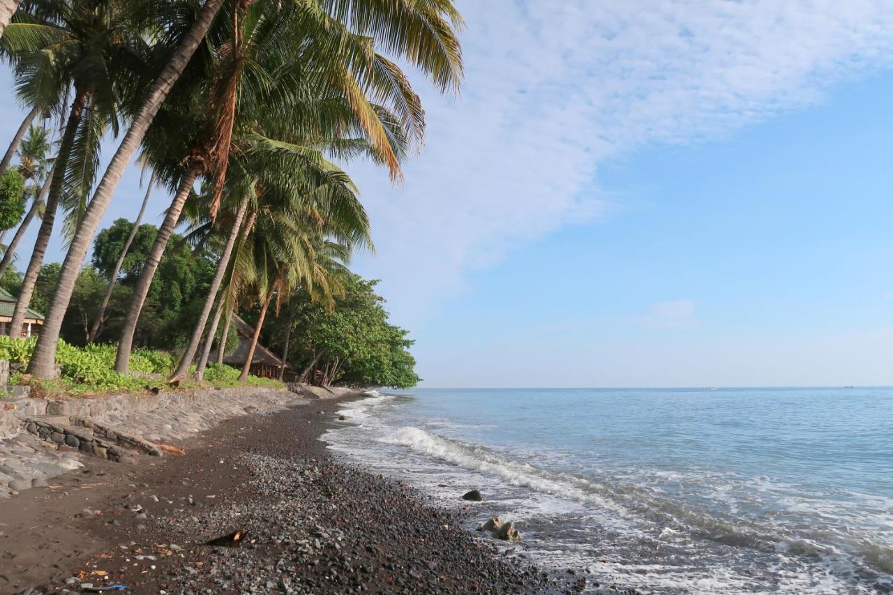 Villa Aditya Tejakula Exteriör bild